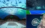 طرح 2.5 میلیارد دلاری اولین استادیوم زیر آب جهان با سقف شیشه ای در دبی